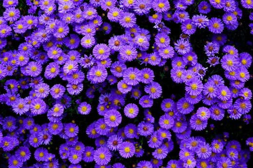 583640 (a): :2400x1590